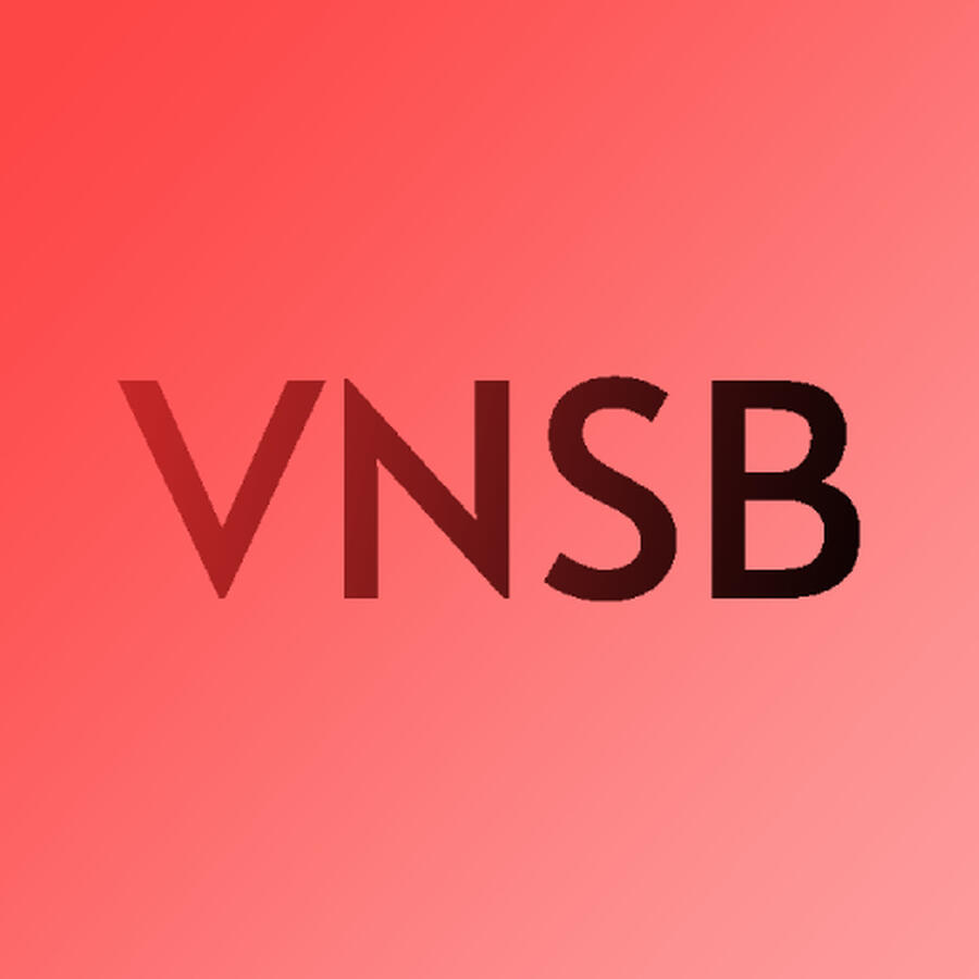 VSNB Logo
